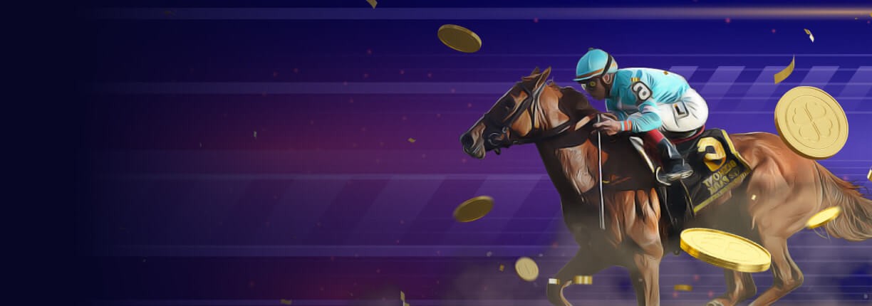 การแข่งม้า